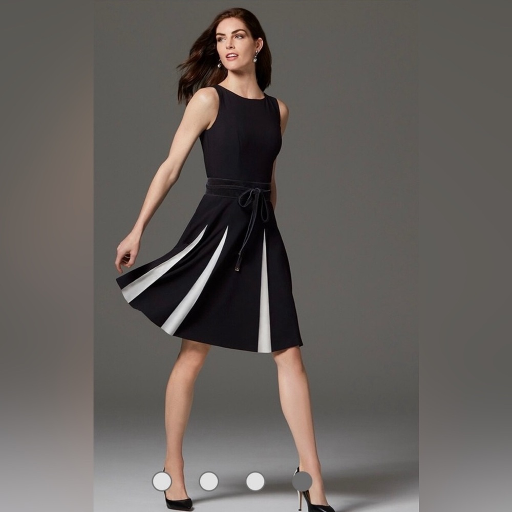 White House Black Market - Black & White Pleated / Godets Fit & Flare Dress (00)